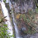 IMG_0894