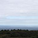 IMG_0906