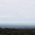 IMG_0907