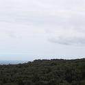 IMG_0908