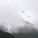 IMG_0911
