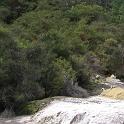 Imagen 057