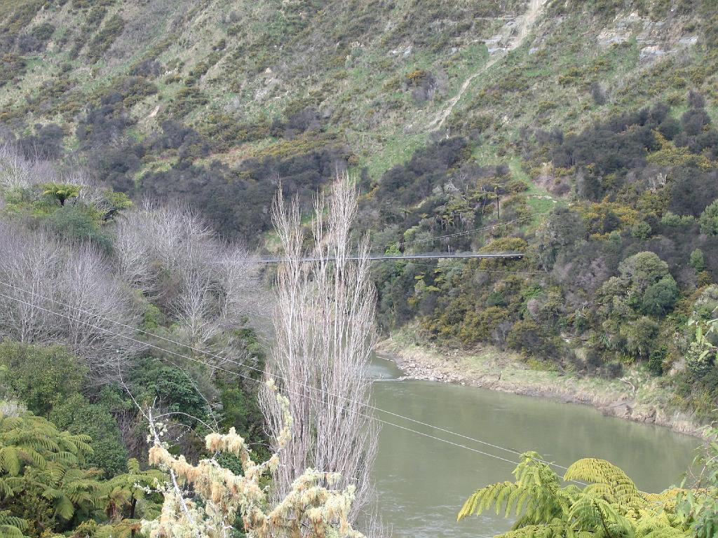 Original image