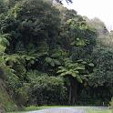 IMG_0863