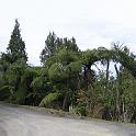 IMG_0865